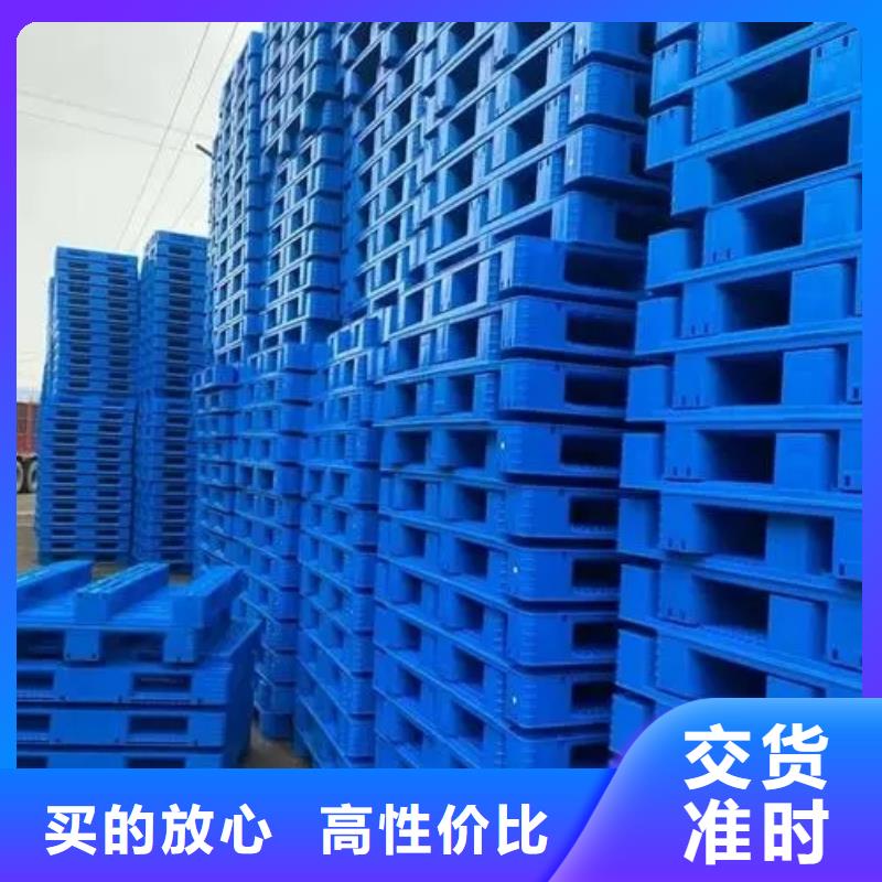 雞舍塑料墊板廠家