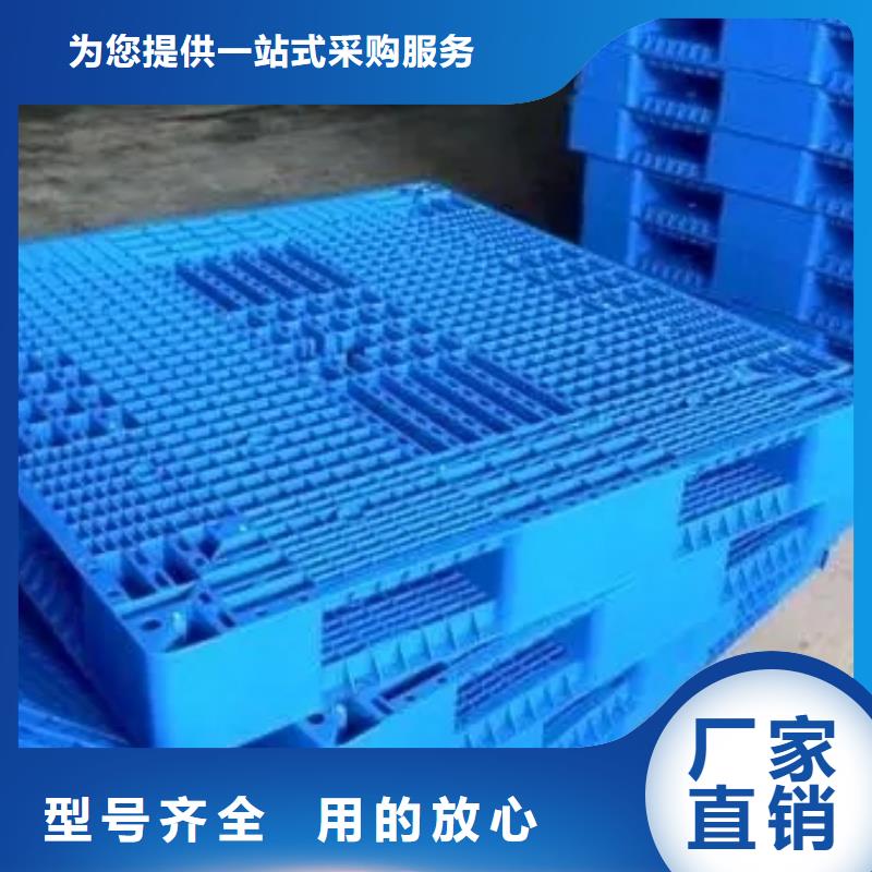 优质鸡舍塑料垫板厂家