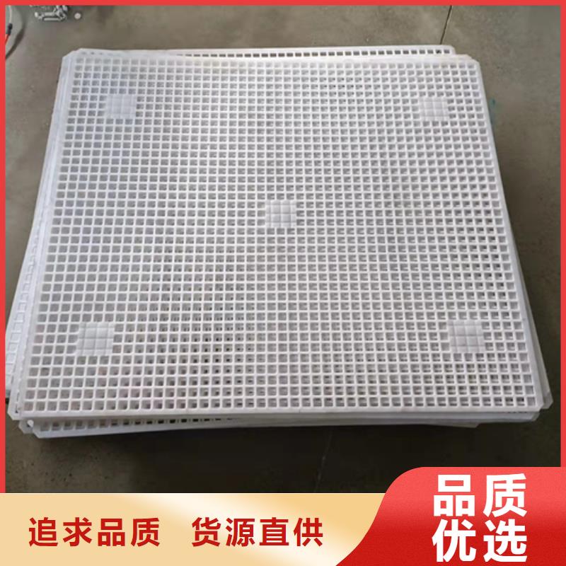 鸡舍塑料垫板品质卓越