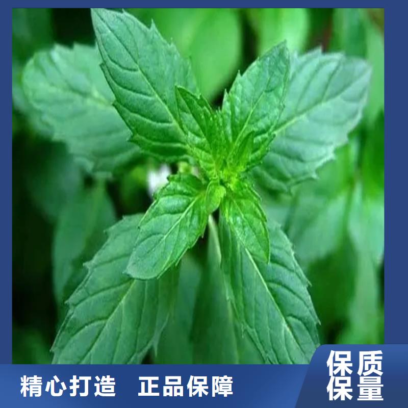 收購彈性乳液全國回收