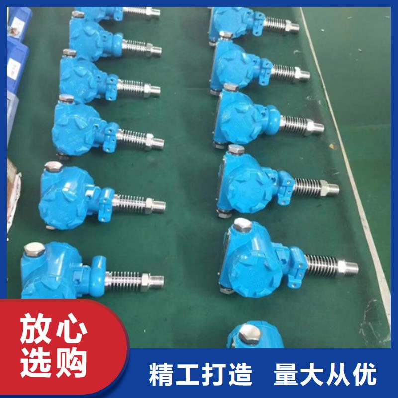 熱電偶流量積算儀產(chǎn)地廠家直銷