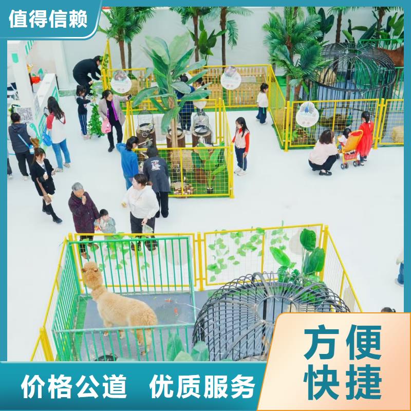 小萌宠出租备货充足