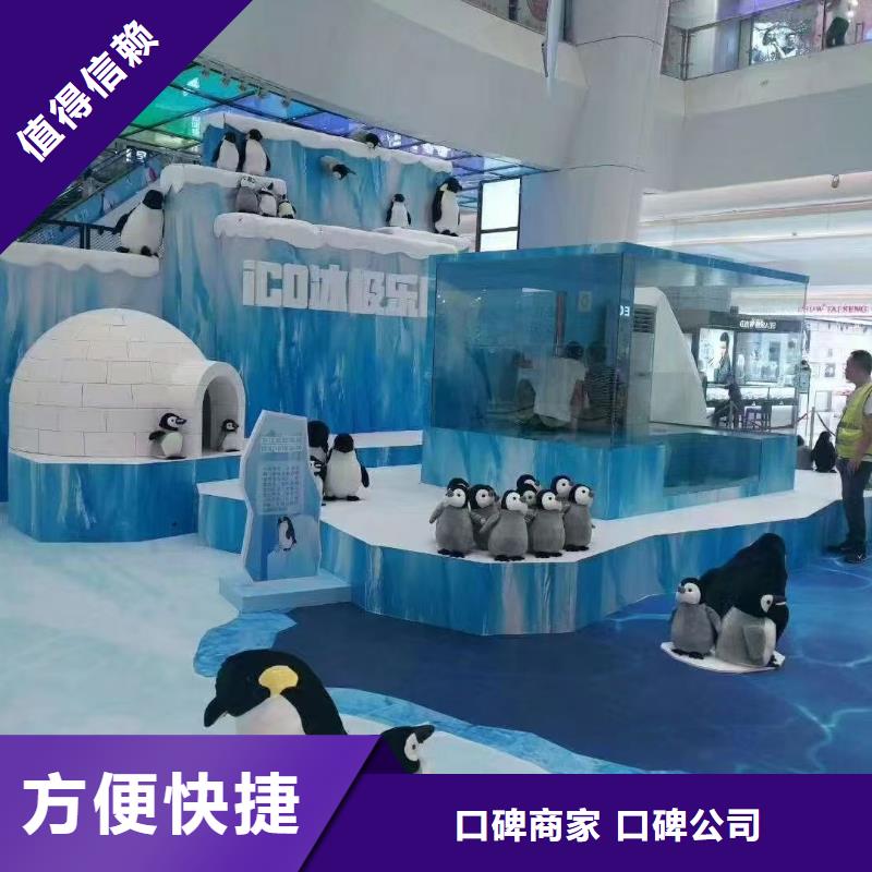 质量可靠的企鹅展览厂家