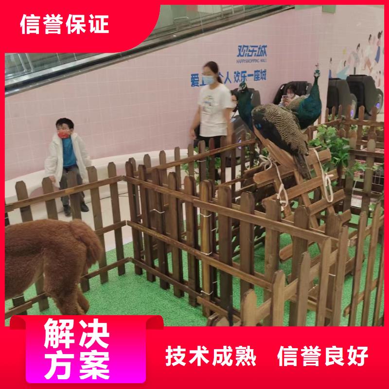 馬戲團(tuán)/羊駝_動(dòng)物雜技表演省錢省時(shí)