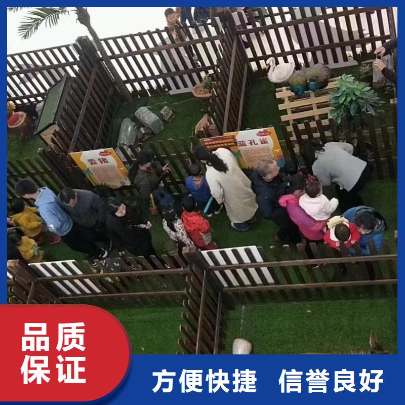 【馬戲團(tuán)/羊駝】,鸚鵡表演比同行便宜