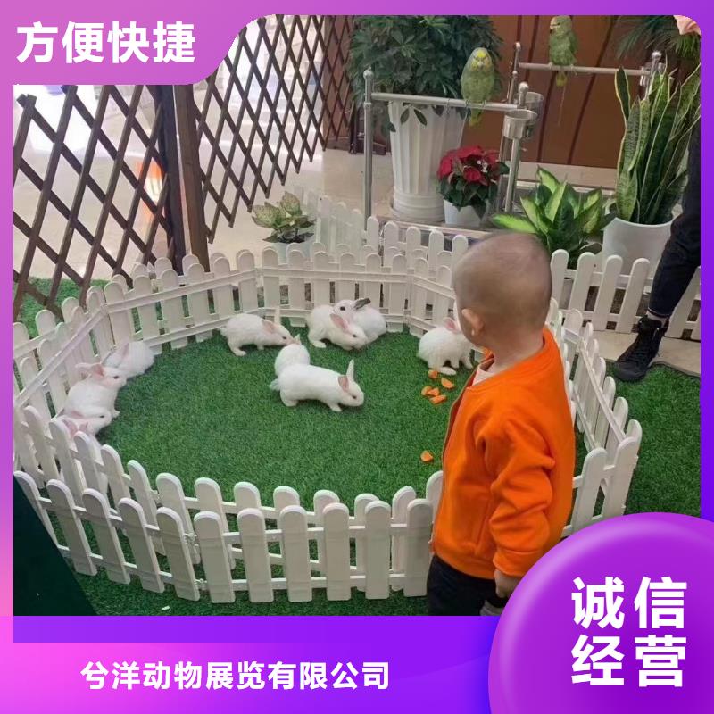 【馬戲團/羊駝 死輪表演口碑公司】