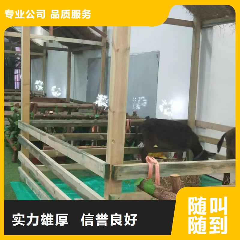 马戏团/羊驼萌宠动物展出租效果满意为止