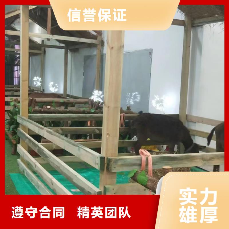 馬戲團(tuán)/羊駝出租馬戲團(tuán)表演2025公司