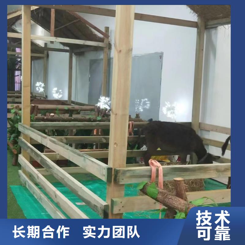 【馬戲團(tuán)/羊駝海獅表演出租品質(zhì)保證】