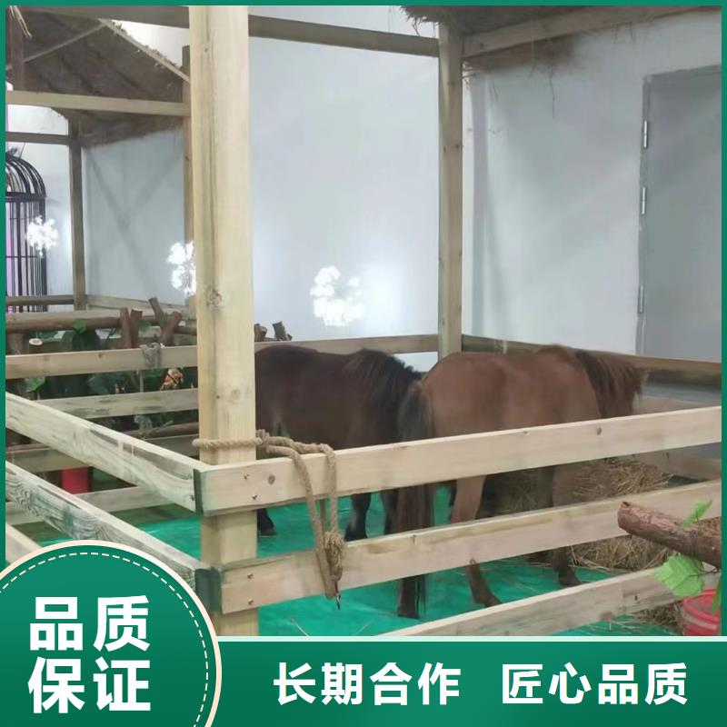 馬戲團/羊駝_馬戲表演信譽良好