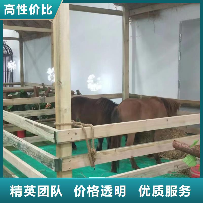 馬戲團(tuán)/羊駝,【出租馬戲表演】省錢省時(shí)