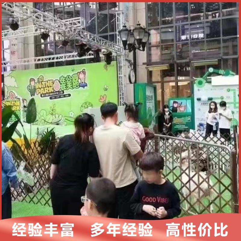 馬戲團(tuán)/羊駝-草泥馬羊駝租賃專業(yè)承接