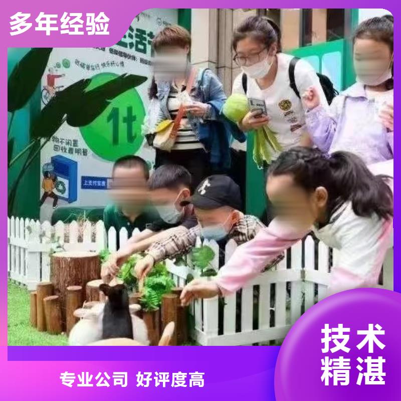 馬戲團(tuán)/羊駝馬戲團(tuán)出租 知名公司