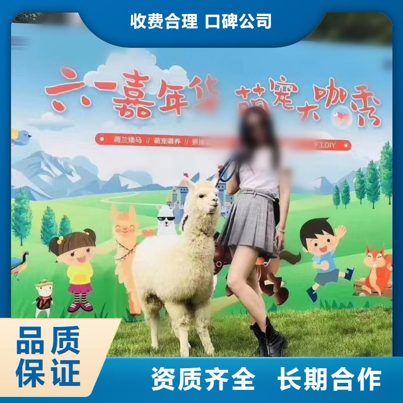 马戏团/羊驼驯兽表演资质齐全