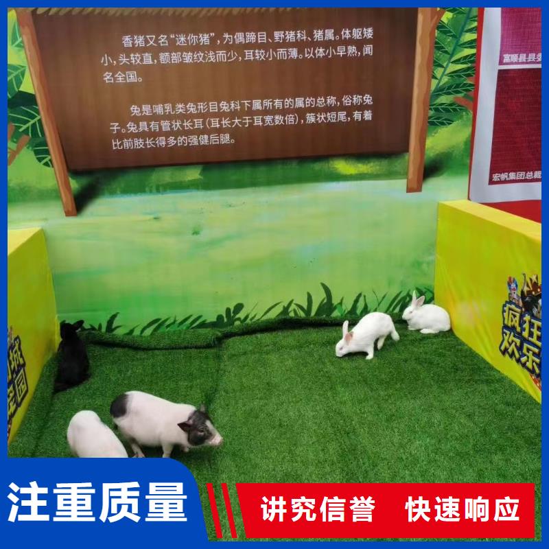 馬戲團(tuán)/羊駝羊駝出租解決方案
