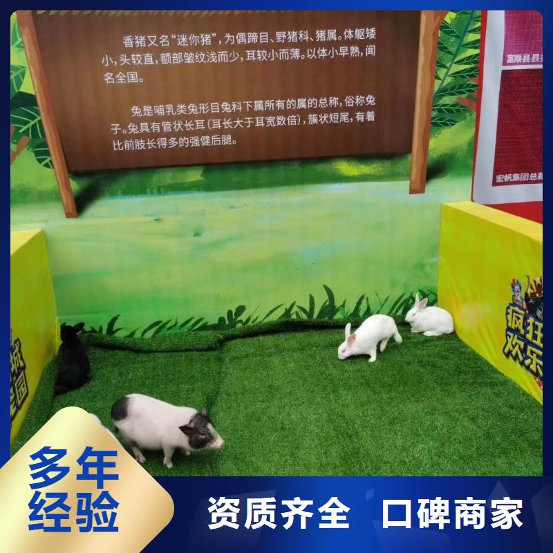 马戏团/羊驼,鹦鹉表演租赁省钱省时