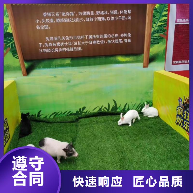 馬戲團(tuán)/羊駝_馬戲團(tuán)表演出租租賃良好口碑