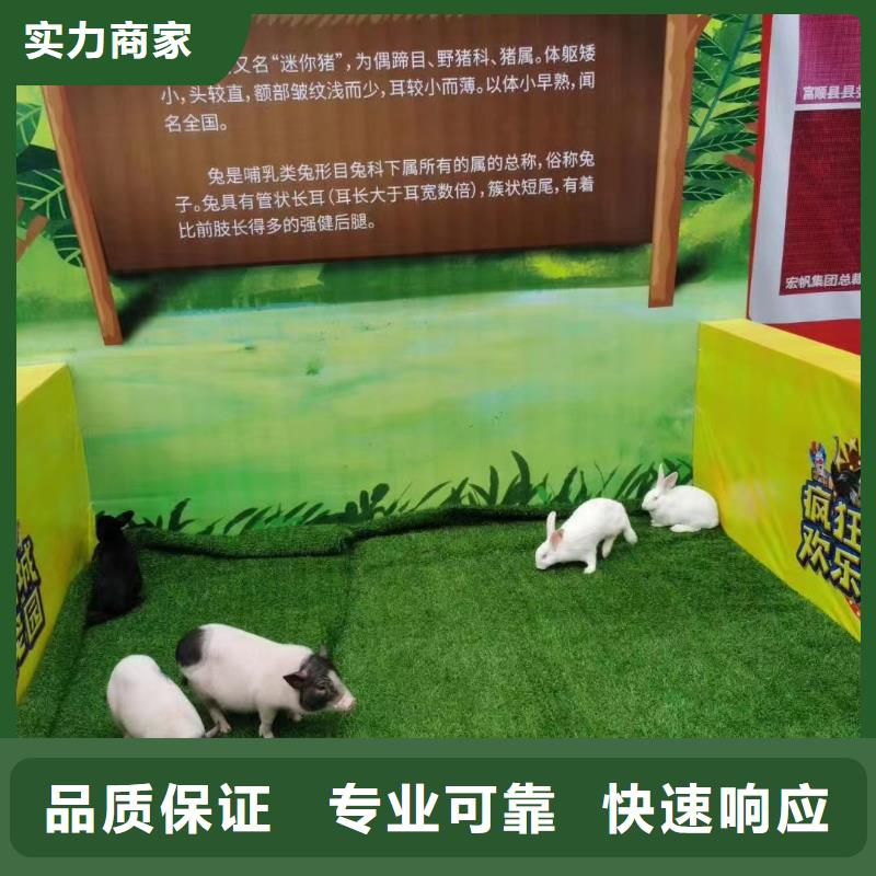 马戏团/羊驼,美人鱼表演出租专业品质