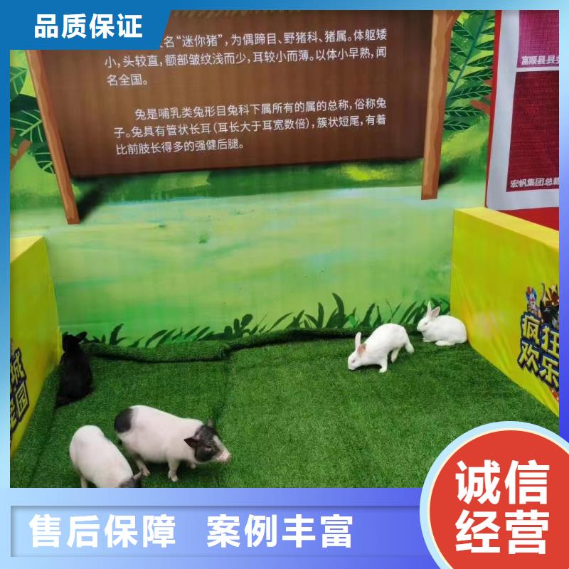 马戏团/羊驼出租企鹅实力商家