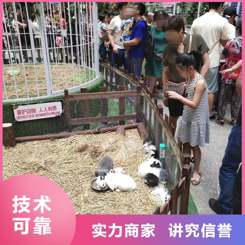 【马戏团/羊驼】海狮表演出租匠心品质