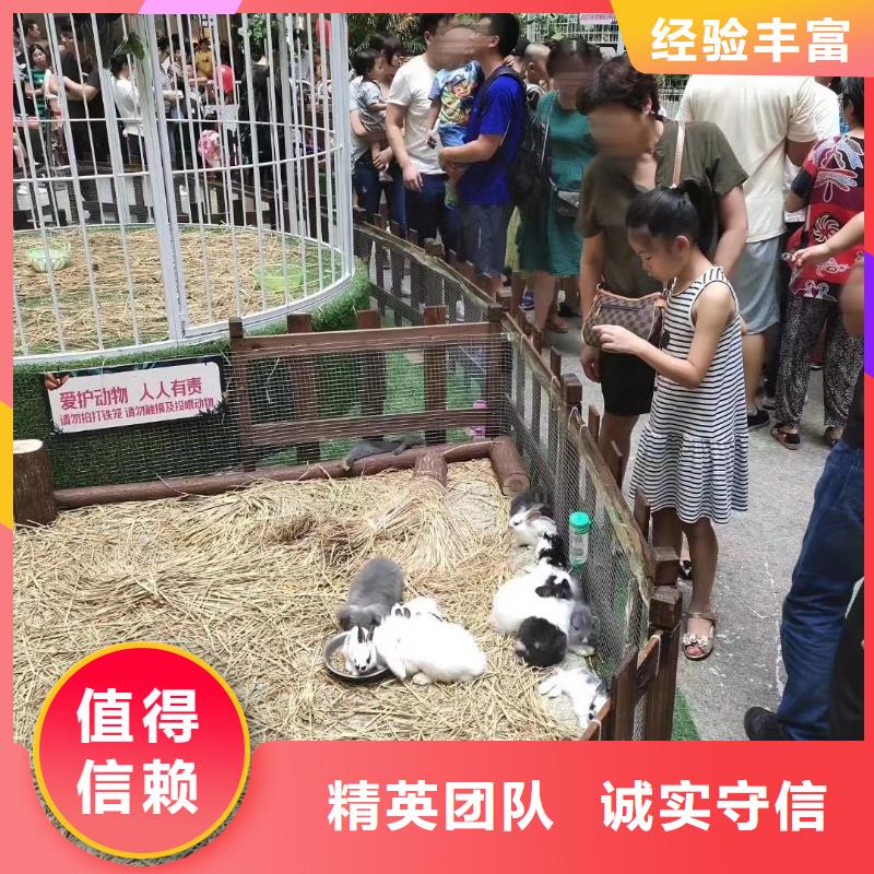 馬戲團(tuán)/羊駝-羊駝出租服務(wù)至上