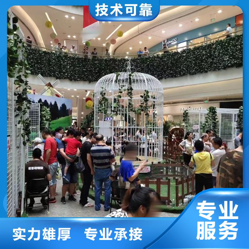 馬戲團(tuán)/羊駝-羊駝出租服務(wù)至上