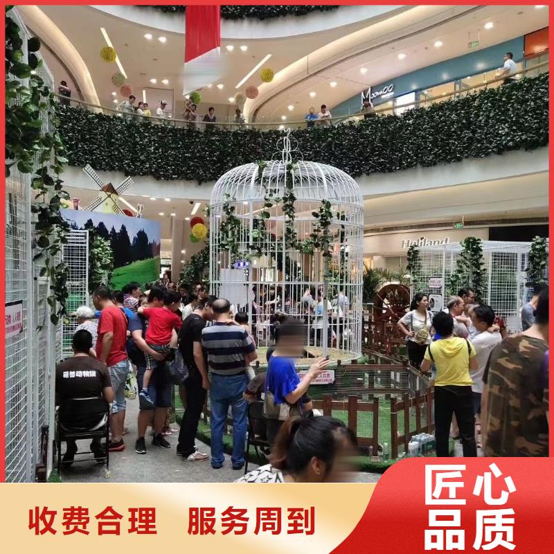 马戏团/羊驼海狮表演出租技术比较好