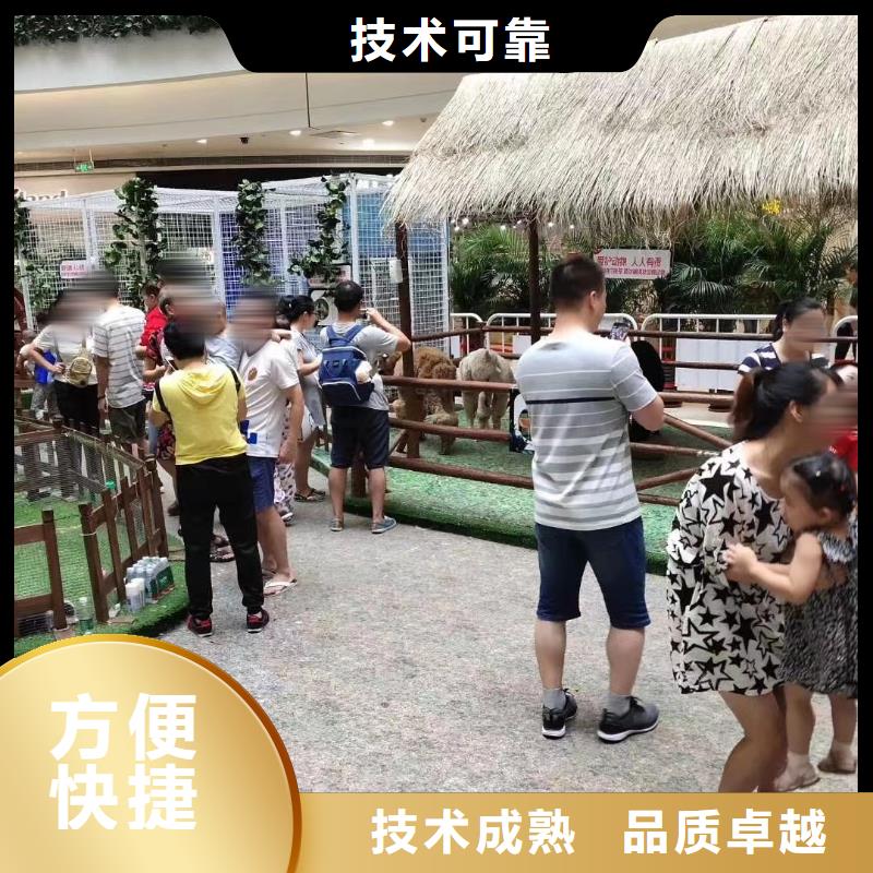 馬戲團/羊駝 企鵝租賃信譽保證