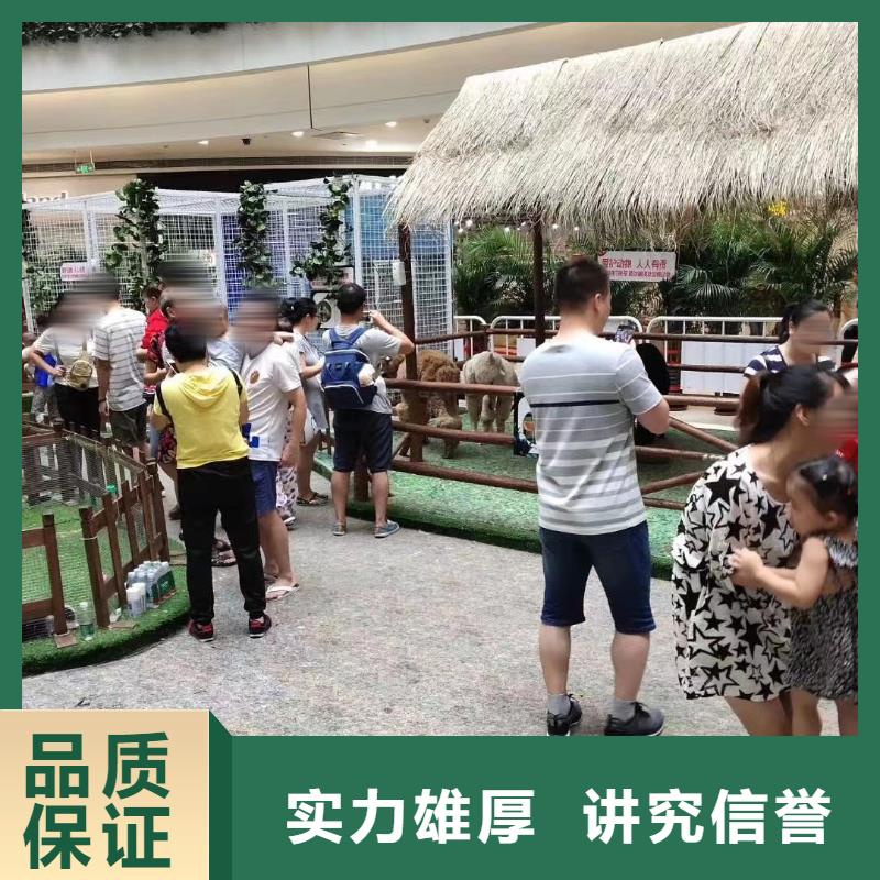马戏团/羊驼海洋展租赁专业
