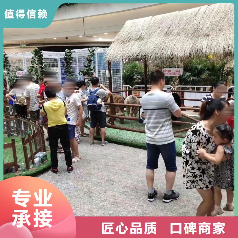 馬戲團(tuán)/羊駝動(dòng)物表演租賃多年經(jīng)驗(yàn)