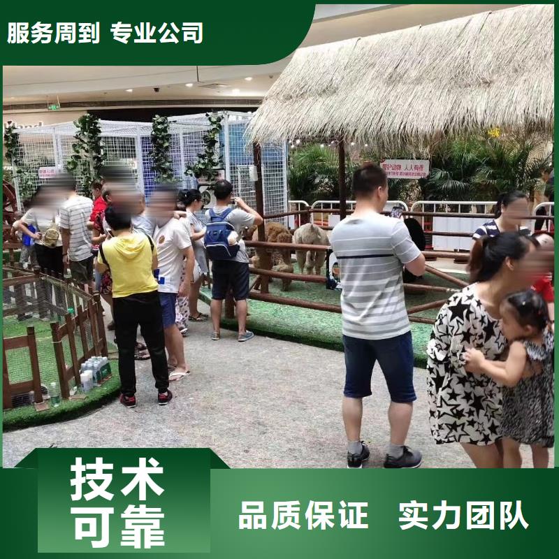 馬戲團(tuán)/羊駝【出租表演萌寵】拒絕虛高價(jià)