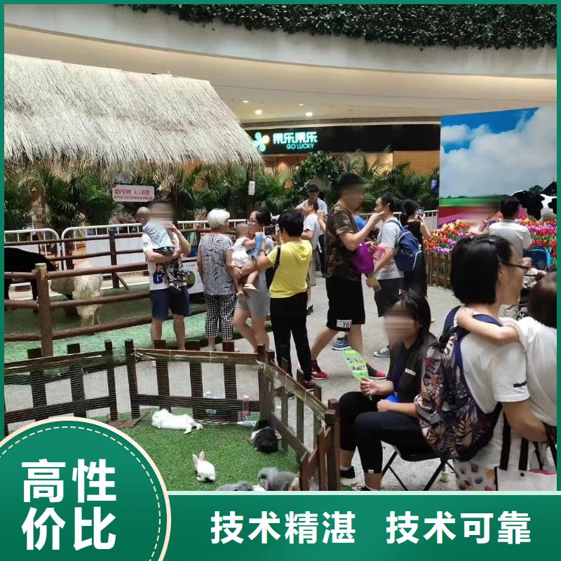 馬戲團(tuán)/羊駝企鵝出租講究信譽(yù)