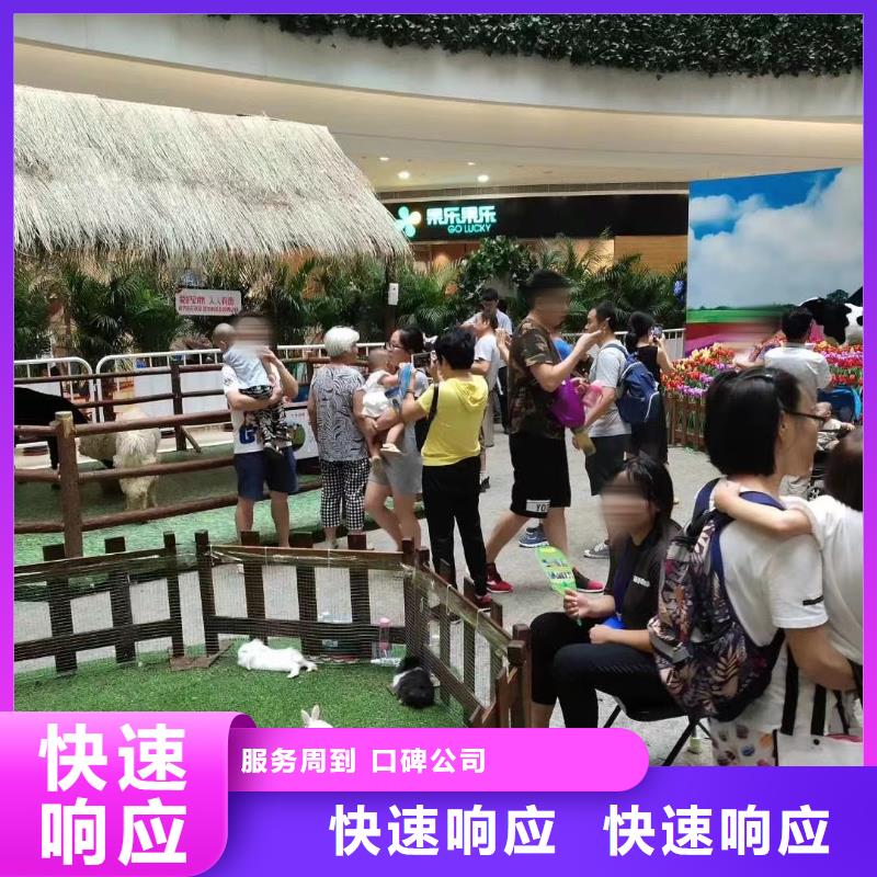 馬戲團/羊駝萌寵動物展出租效果滿意為止