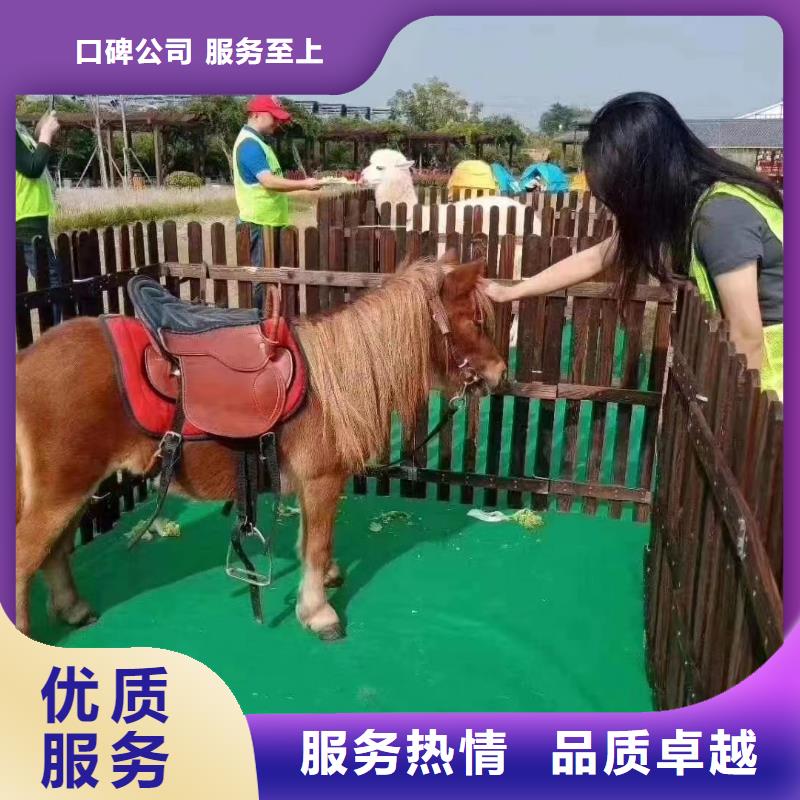馬戲團/羊駝海洋展租賃質(zhì)量保證