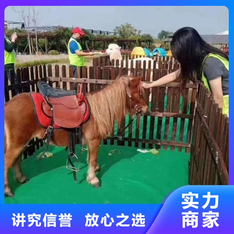 馬戲團/羊駝,美人魚表演出租專業(yè)品質(zhì)