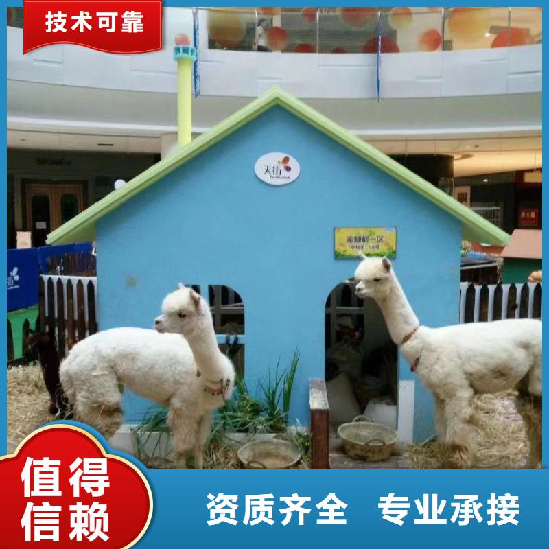 【馬戲團/羊駝美人魚表演出租有實力】