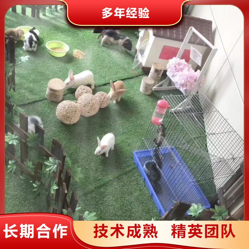 【馬戲團/羊駝】【企鵝表演】專業(yè)可靠