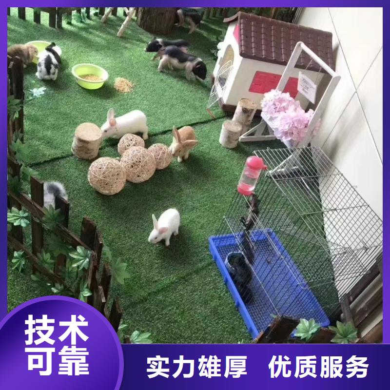 马戏团/羊驼海狮表演出租技术比较好