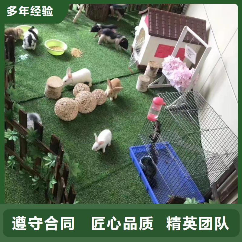 马戏团/羊驼驯兽表演资质齐全