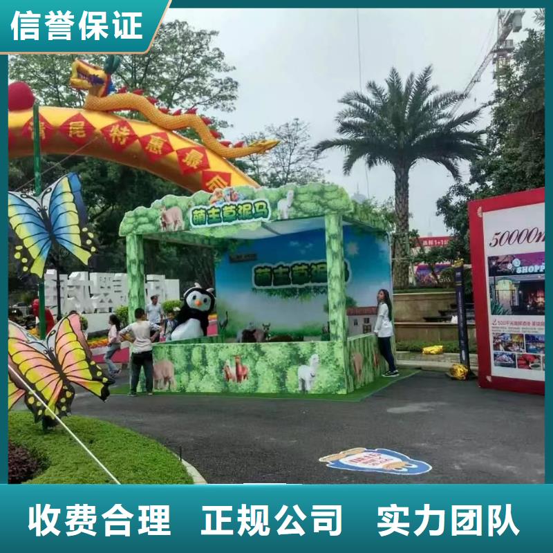 马戏团/羊驼,【出租企鹅表演】解决方案