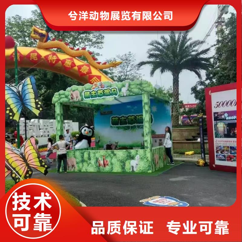馬戲團/羊駝企鵝租賃長期合作