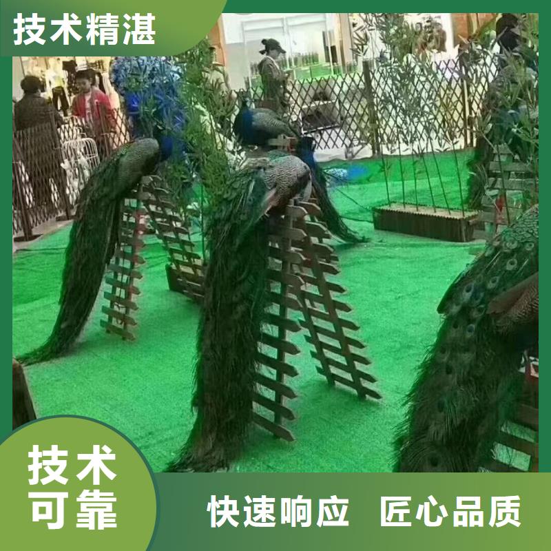 马戏团/羊驼,马戏团表演快速