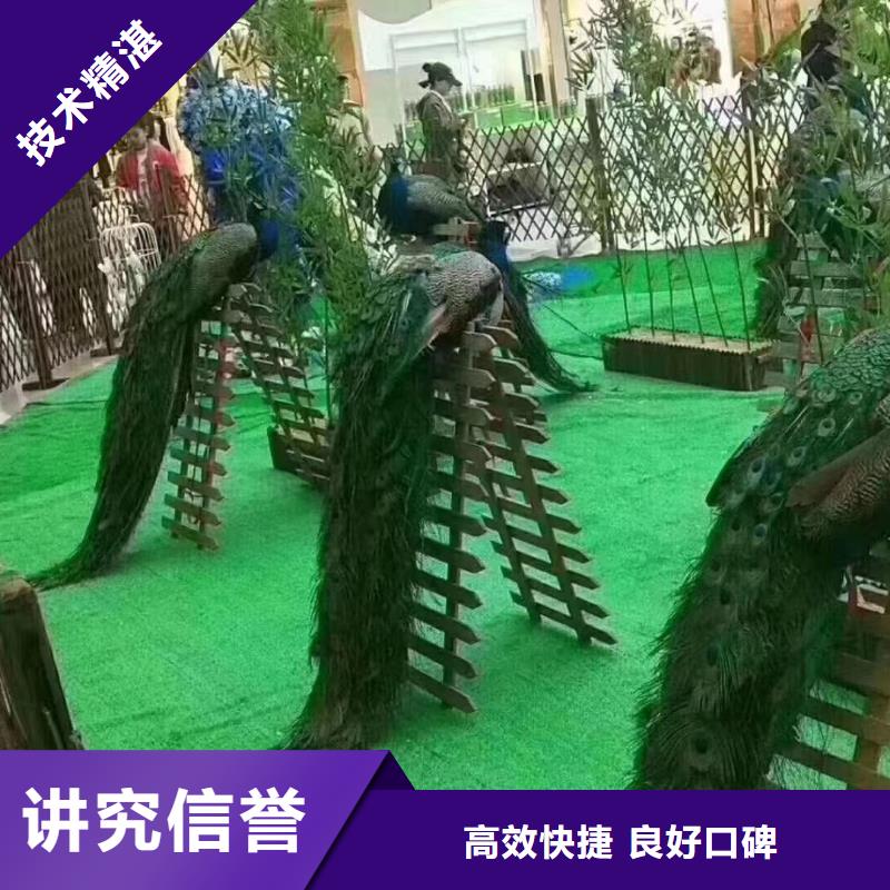 马戏团/羊驼吉祥百鸟展好评度高
