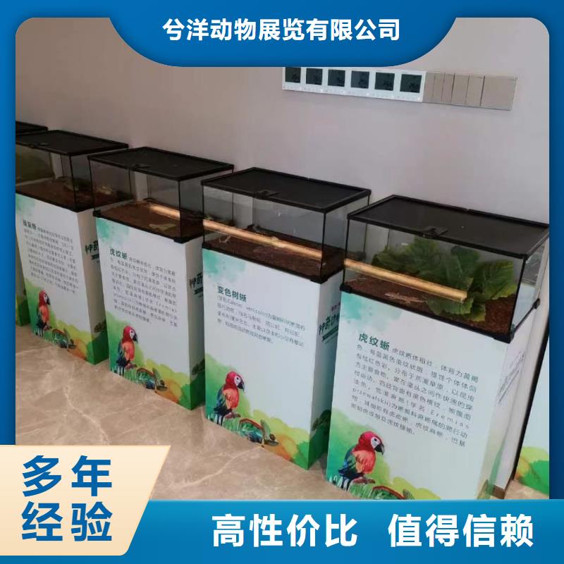 馬戲團(tuán)/羊駝出租馬戲表演誠(chéng)信經(jīng)營(yíng)