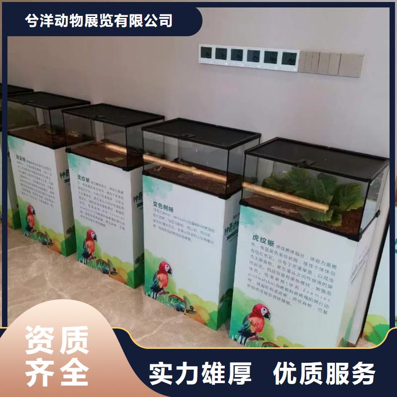 馬戲團/羊駝草泥馬羊駝租賃一站搞定