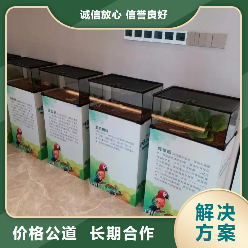 馬戲團/羊駝雜技表演租賃服務多年行業(yè)經(jīng)驗