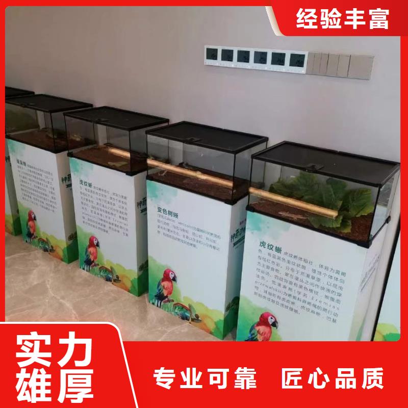 【馬戲團(tuán)/羊駝】海獅表演出租一站式服務(wù)