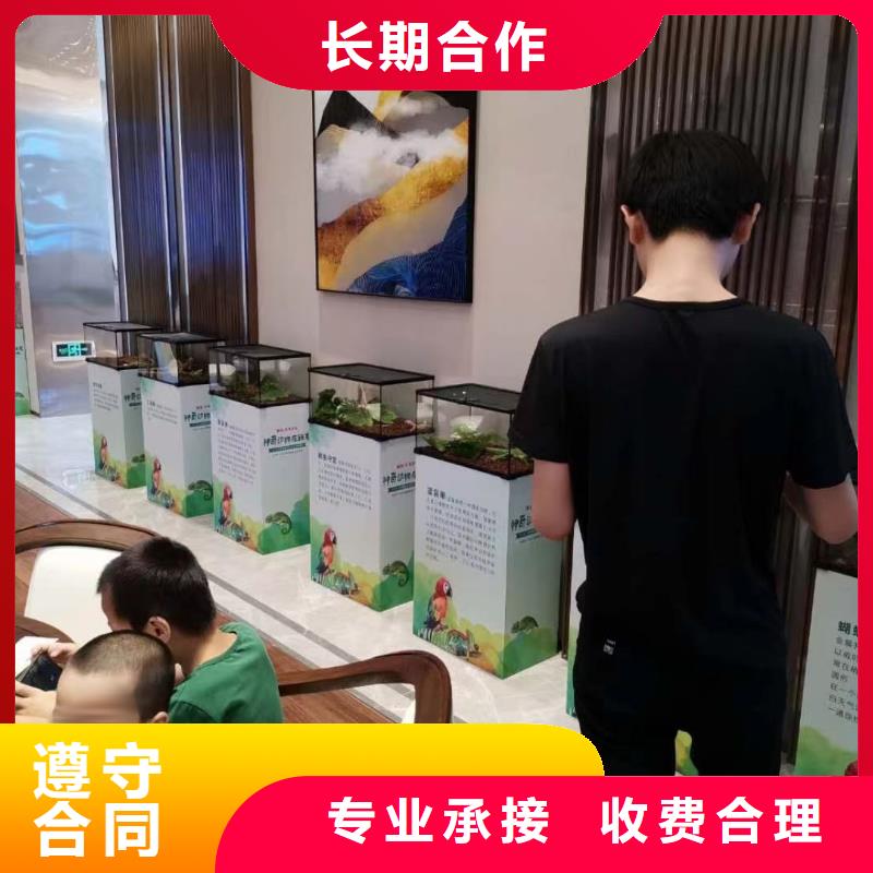 马戏团/羊驼 美人鱼表演专业公司