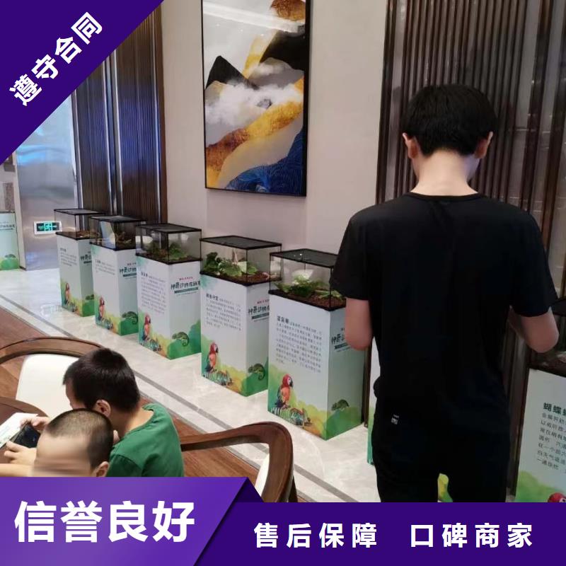 马戏团/羊驼,出租羊驼专业可靠