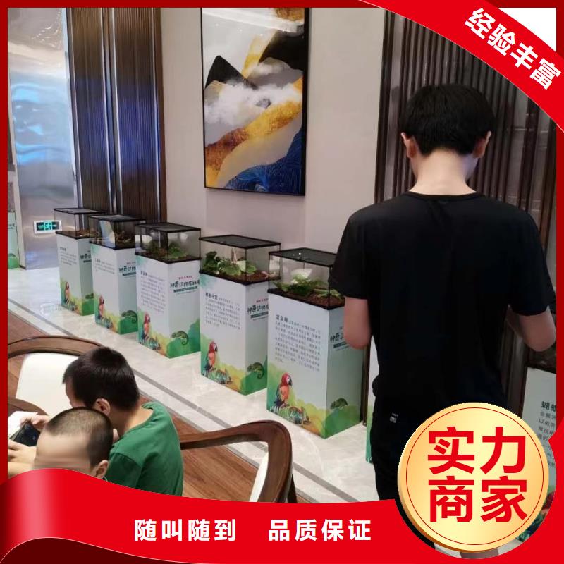 馬戲團(tuán)/羊駝吉祥百鳥展良好口碑